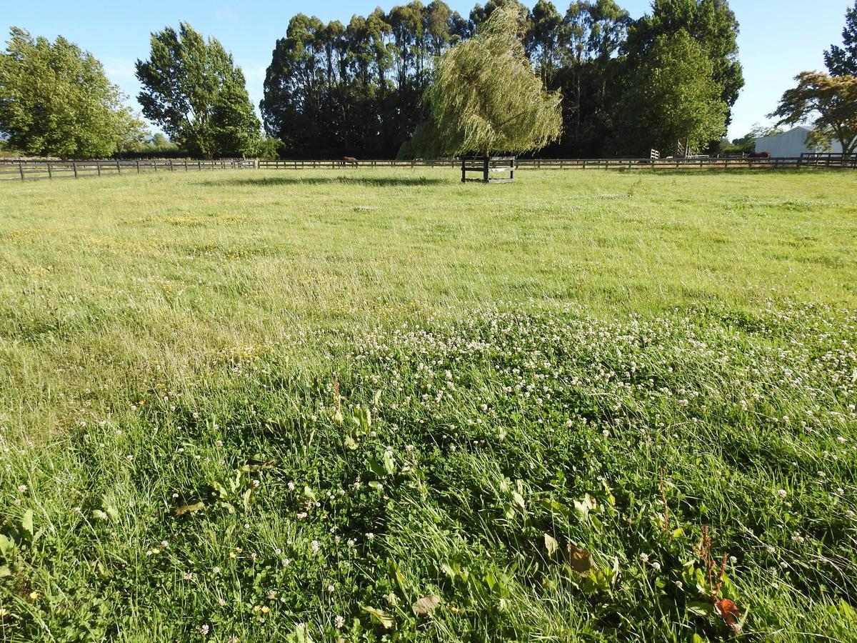 Grasslands Bed & Breakfast Cambridge Eksteriør bilde