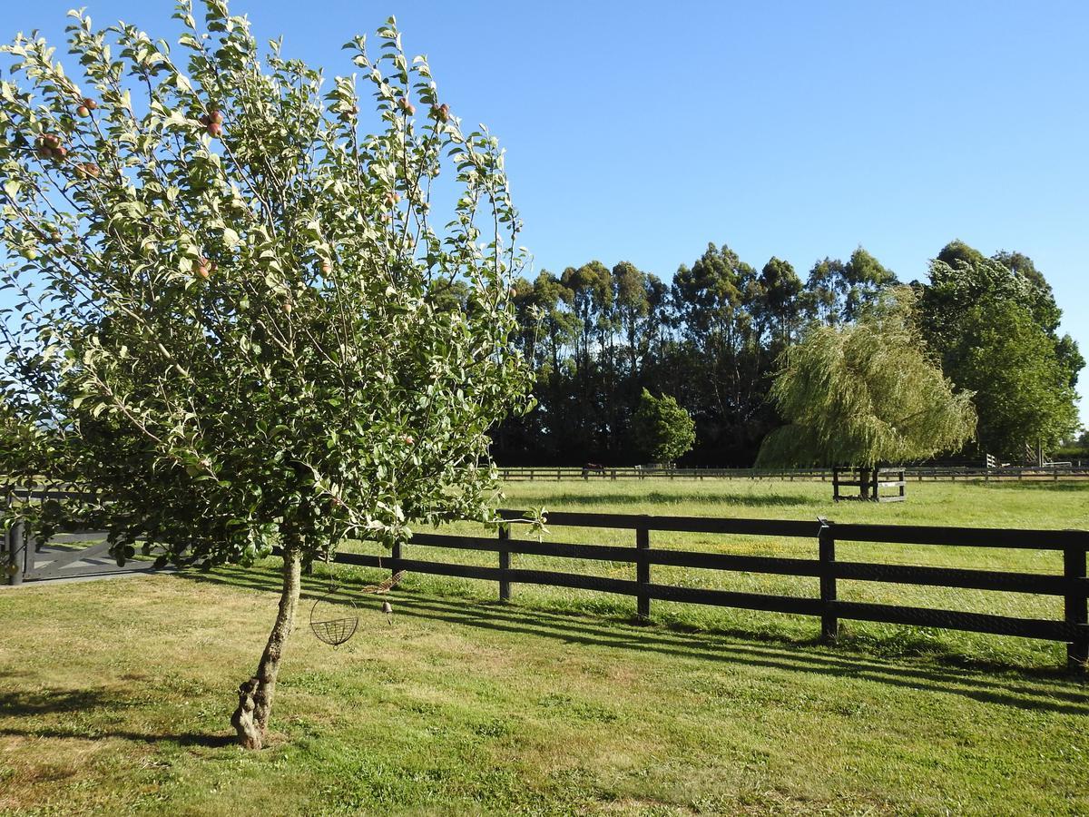 Grasslands Bed & Breakfast Cambridge Eksteriør bilde